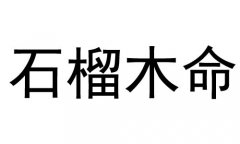ʯľʲô˼ʯľò