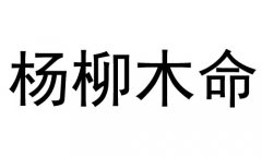 ľʲô˼ľò