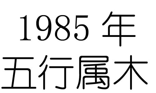 1985Ќʲô1985ʲô