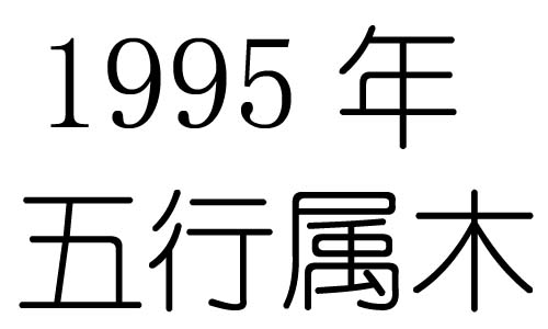 1995Ќʲô1995ʲô