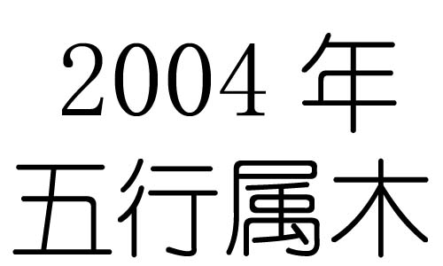 2004Ќʲô2004ʲô