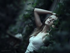 (ji)֪Լײа