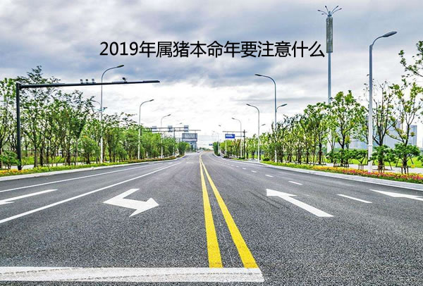2019iҪעʲô  i2019경˱꣬\(yn)(sh)O˵һÉy׽֮\(yn)(sh)(dng)ʎƽ(wn)һ꣬(dng)ʎ(hu)_y˵ʹlF(xin)úˣҲɏ(qing)(sh)u\(yn)(sh)OٺD(zhun)iԁyܵh(hun)ĸɔ_ֻҪϳԿ^l(f)D(qing)Dĭh(hun)ҲԿ(l)(jin)ֲи(li)wi˱\(yn)(sh)ԼλⱾRķNN_  2019ib˰  i˽ꑪ(yng)ԓƽ(wn)@f(shu)b޺Ͱ?yn)h(hun)،(du)i˵Ӱ푸һc(din)h(hun)ƩꎰKy(hu)o\(yn)(sh)(li)Oؓ(f)Ӱ푡2019ꌦ(du)҃(ni)ĸ׃Ǳ횵һҪһ(g)L(fng)ˮõķg(yng)ȵxͬ˕r(sh)ҲҪxeOM(jn)(i)Ƀǧf(wn)Ҫ^m(x)ͬϢyKyһh݃(ni)B(yng)GɫֲӛҪ_(ki)ֲЗl߀B(yng)һЩˮĄ(dng)@ֲˮ(hu)L(fng)ˮϸԼ\(yn)(sh)Ӄ(ni)һҪҲx^(gu)ɫ{(dio)(yng)ԓxůɫ{(dio)ğڷg﹩xo(h)q\С\̫q񡢽Ԫȷƶշg(ni)(du)i˲ɷҲԻ̫ⷸq(li)ΣU(xin)pС˵Ⱥؓ(f)?jn)_ʹͨ{(dio)ֵƽʹȫ\(yn)(sh)ƽ(wn)?bio)죬?zi)h(yun)xǱ˺ͷ̫qԌ\ҷڴ^k܇(ni)ͬr(sh)𿨿Sy^£ڰƴň(chng)i2019L(fng)l(f)ˬ  2019i˹(wn)˄(chung)I(y)  ᘌ(du)1995Čiˁ(li)f(shu)2019ǮI(y)ĕr(sh)Sĉ־Čiѽ(jng)ͲסҪ?jing)?chung)I(y)ğѪڱһܵ(zi)ǵĸɔ_ͷ̫qě_(hu)e(cu)`ДԲڽ귀(wn)ס__̤(sh)صĹһW(xu)(x)µ֪R(sh)(wn)ԼԺĄ(chung)I(y)e⽨hiڽ겻ҪlQ(dng)ĹSһ݅ӶҪ(jin)صčλ^(du)׌W(xu)(hu)S֪R(sh)L(zhng)ģҪͶ뵽ĿǰĹ(dng)Ё(li)i˽ԒhPһkҔ[һ(g)ؔ(ci)[D(zhun)\(yn)wؔ(ci)Fw^(li)(yn)o(h)i2019L(fng)?bio)?ci)o(h)֮F\(chng)l(wi)i˵ؔ(ci)c֣܉򎧁(li)Ӿd֮ؔ(ci)  2019iː(i)ƽ(wn)M(jn)ƽ  ^ƽ(wn)ČiʿһʢҲy(hu)P(gun)Įѽ(jng)аHČi˕(hu)M(jn)һƽiһ㶼Ժܺõm(yng)ƽҪһԸƢʲôӡMo(du)@ϲ錦(du)ǧf(wn)ɐt׽oѺڽi˕(hu)׹ª(d)įҪl(f)(ni)ĵҲҪr(sh)cԼһՄģ@ӲſʹL(zhng)^(gu)ƽゃĸ(hu)ϊ(jin)hiһ(g)\(chng)ں(li)龉M(jn)C?bio)Ҫ߀ǌcͥƽ{(dio)@(g)ҪiԼhi˽ꎧһҊ(jin)L(zhng)˼˵֧cP(gun)ĕ(hu)Ӹrʹأ  iڹҪС  ڹλϴƴܾõČiѽ(jng)(du)ԼͬԸյҲ(yng)ԓ֪l(shu)ֵýl(shu)ֵýҪh(yun)xٺ͌ߵ?yn)ゃ_һǳ׮a(chn)(zhng)(zh)Ҳ׵õһЩС˵Ӌ(j)ڹһҪ֔(jn)ԭtϵĆ(wn)}һҪ|Լ׾һҪֺؠ(zhng)@Ӳſͬһ(g)õҪľǽ(jng)Լ^ĹһҪм(x)ˌ(du)c˹ͬ΄(w)r(sh)Ҫýӹ?yn)?z)βһҪ(yn)ɼ֔(jn)Լ(ni)ĵ֪  ֮i2019걾Ҫעܶ࣬^\(yn)(sh)õһĽ߀ҪiԼע⡣iڽؔ(ci)\(yn)^mȽXoŵ^(gu)Ѻͼˣһ(li)Ǽr(sh)D(zhun)ؔ(ci)a(chn)ܱ(dng)ʎĸɔ_(li)Լcĸһ̶ҲԺһPXϣi2019궼ƽ(wn)^(gu)ܱĸɔ_Ɖģ