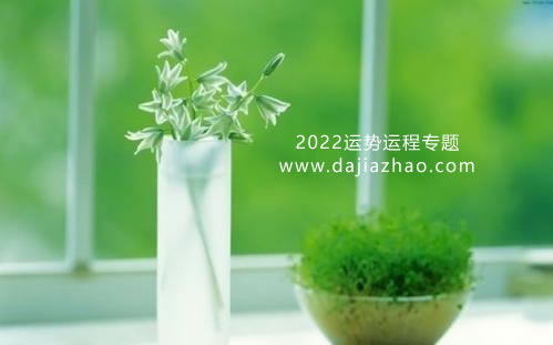 2022ٻԒĹ걾ȥĹؕ