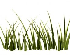 (mng)Ҋs (mng)(mng)ҊsʲôA(y) (mng)Ҋsݺò