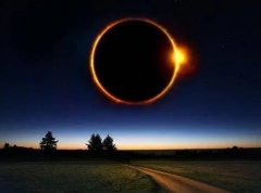 (mng)Ҋʳ (mng)(mng)ҊʳʲôA(y) (mng)Ҋʳò