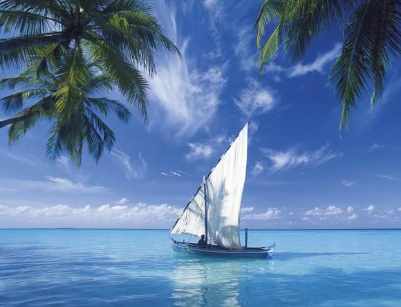 (mng)Ҋ (mng)(mng)ҊʲôA(y) (mng)Ҋò