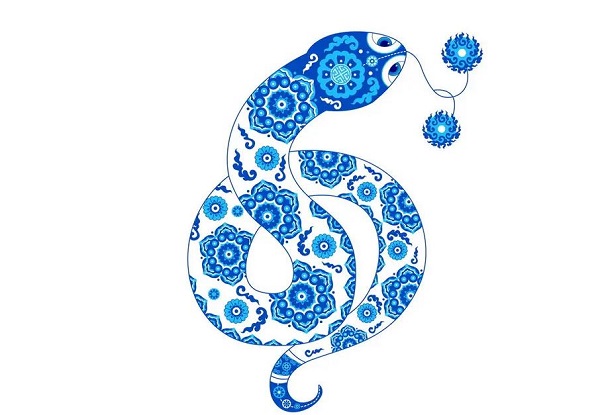 (mng)Ҋ(jin)Ƥ (mng)(mng)Ҋ(jin)ƤʲôA(y) (mng)Ҋ(jin)Ƥò