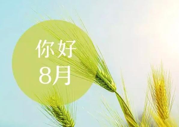 816Օ_յ\(sh)