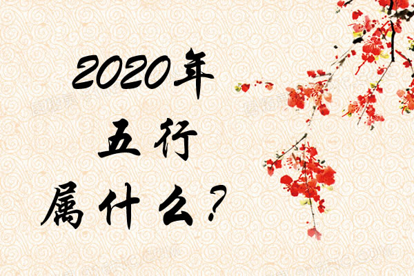2020Ќʲô