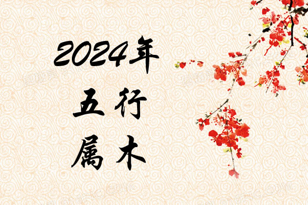 2024Ќʲô
