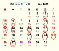20251½YS m20251½Yĺ