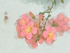 СʲôrСǎ