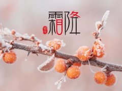 ˪ʲôr˪ǎ