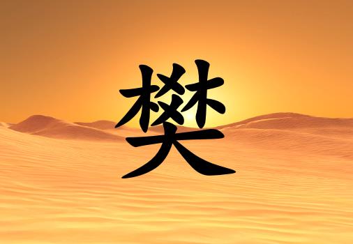 շкЌɂ(g)_շк100փɂ(g)