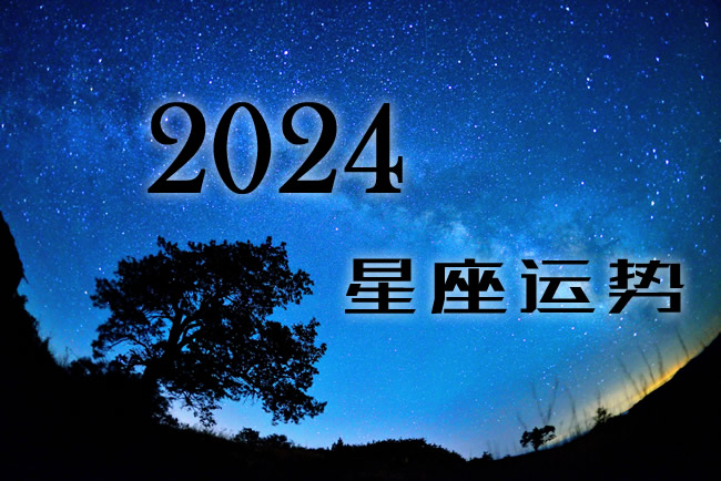 2024ȫ\(yn)