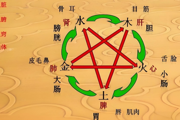 Փϵy(tng)԰l(f)չB(yng)βԭt