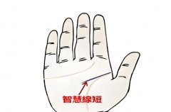 ǻ۾^̻^Ǟ(zi)