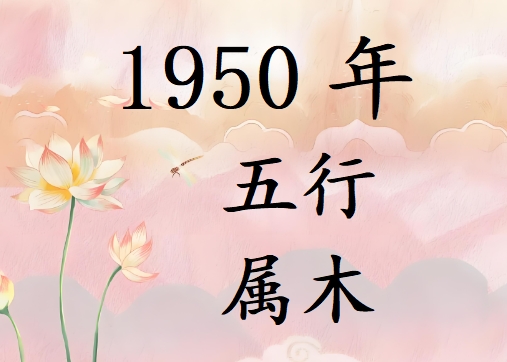 1950Ќʲô1950ʲô