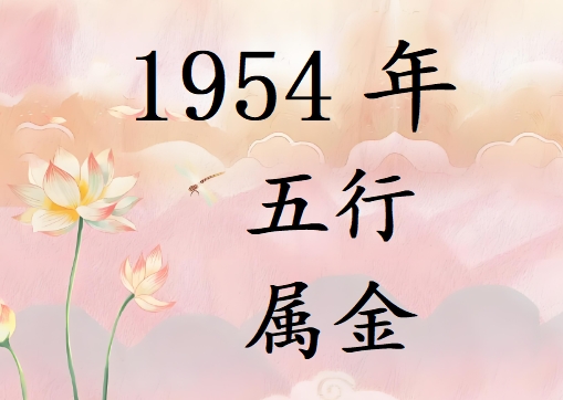 1954Ќʲô1954ʲô