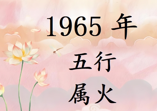 1965Ќʲô1965ʲô