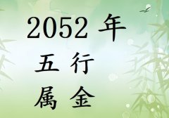 2052Ќʲô2052ʲô