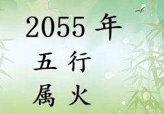 2055Ќʲô2055ʲô