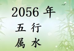 2056Ќʲô2056ʲô